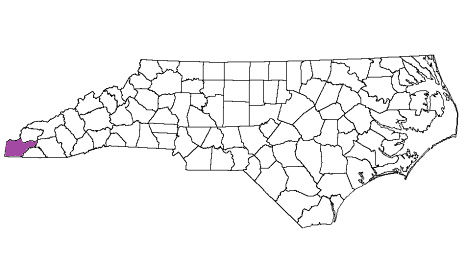 north carolina fire, north carolina firefighters, nc firefighters, nc fire, north carolina fire department, cherokee county, cherokee county ems, cherokee county fire apparatus, cherokee county fire departments