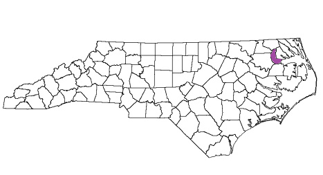 north carolina fire, north carolina firefighters, nc firefighters, nc fire, north carolina fire department, chowan county, chowan county ems, chowan county fire apparatus, chowan county fire departments