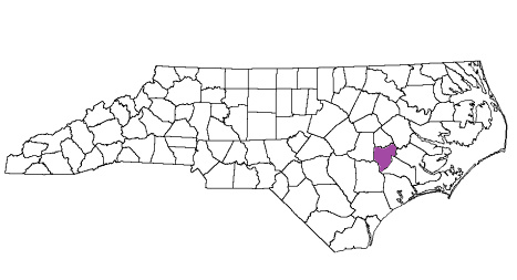 north carolina fire, north carolina firefighters, nc firefighters, nc fire, north carolina fire department, lenoir county, lenoir county ems, lenoir county fire apparatus, lenoir county fire departments