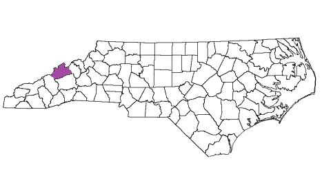 north carolina fire, north carolina firefighters, nc firefighters, nc fire, north carolina fire department, madison county, madison county ems, madison county fire apparatus, madison county fire departments