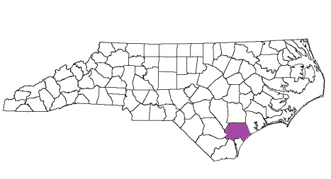 north carolina fire, north carolina firefighters, nc firefighters, nc fire, north carolina fire department, pender county, pender county ems, pender county fire apparatus, pender county fire departments