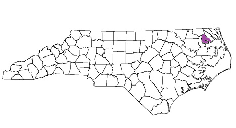 north carolina fire, north carolina firefighters, nc firefighters, nc fire, north carolina fire department, perquimans county, perquimans county ems, perquimans county fire apparatus, perquimans county fire departments