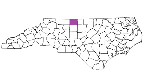 north carolina fire, north carolina firefighters, nc firefighters, nc fire, north carolina fire department, rockingham county, rockingham county ems, rockingham county fire apparatus, rockingham county fire departments