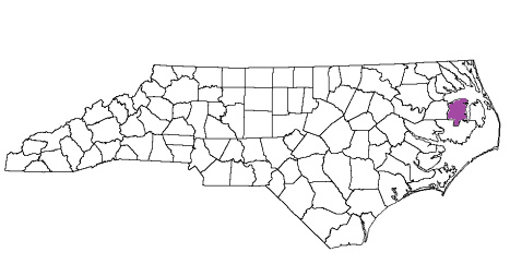 north carolina fire, north carolina firefighters, nc firefighters, nc fire, north carolina fire department, tyrrell county, tyrrell county ems, tyrrell county fire apparatus, tyrrell county fire departments