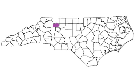 north carolina fire, north carolina firefighters, nc firefighters, nc fire, north carolina fire department, yadkin county, yadkin county ems, yadkin county fire apparatus, yadkin county fire departments